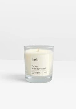 Hush Candle - Fig & Blackberry Leaf